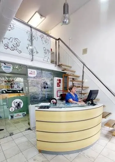 Balcão de receção da clínica, com escada para o piso superior